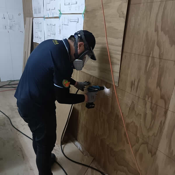 高雄新屋裝潢白蟻蟲害防治