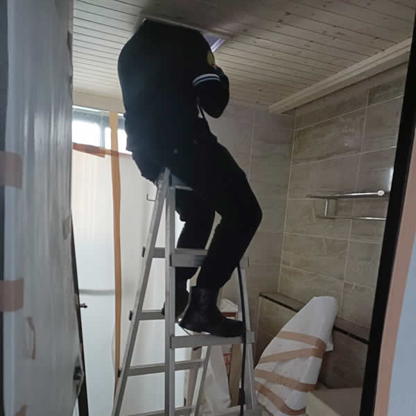 高雄新屋裝潢白蟻蟲害防治