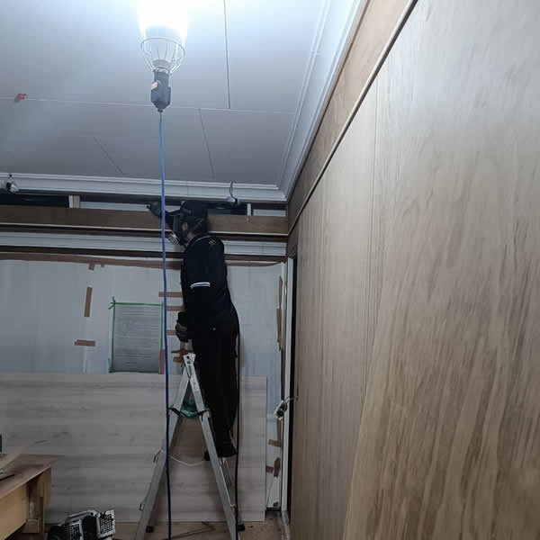 高雄新屋裝潢白蟻蟲害防治