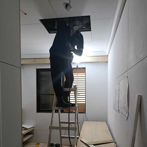 高雄新屋裝潢白蟻蟲害防治