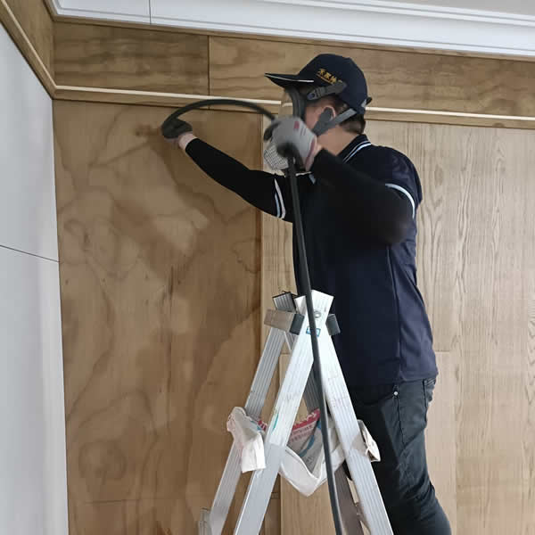 高雄新屋裝潢白蟻蟲害防治