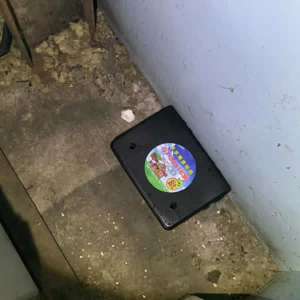 台南企業工廠老鼠蟲害防治