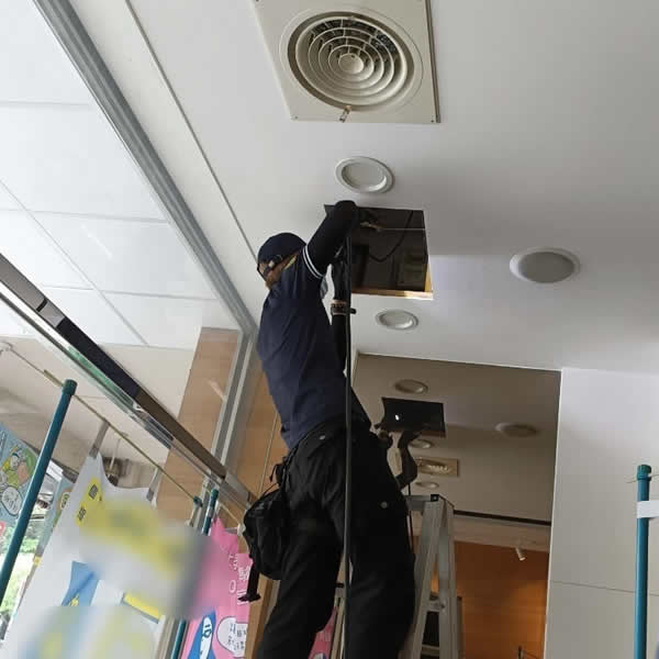 高雄補習班白蟻蟲害防治