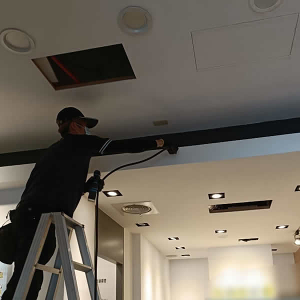 高雄補習班白蟻蟲害防治