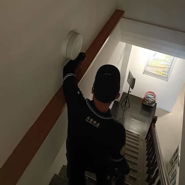 高雄補習班白蟻蟲害防治