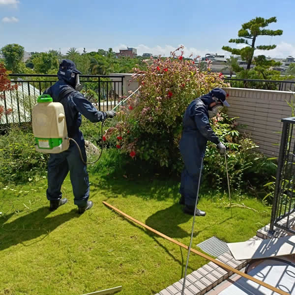 住家白蟻蟲害防治