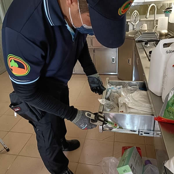高雄食品業中央廚房蟑螂蟲害防治