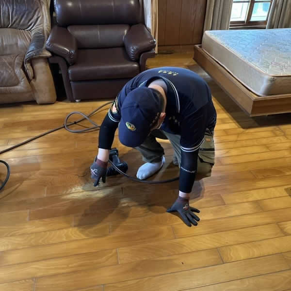 台南住家白蟻蟲害防治