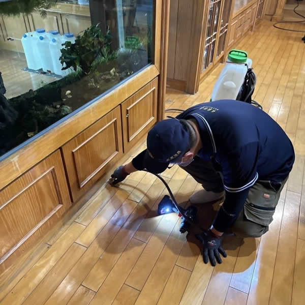 台南住家白蟻蟲害防治