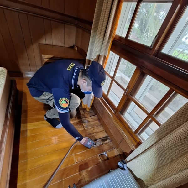台南住家白蟻蟲害防治