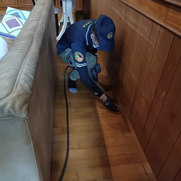 台南住家白蟻蟲害防治