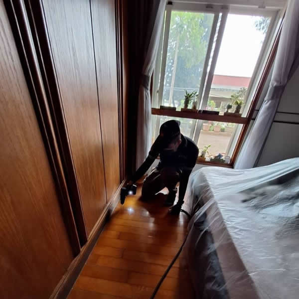 台南住家白蟻蟲害防治