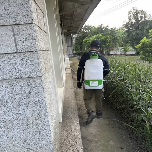 台南住家白蟻蟲害防治