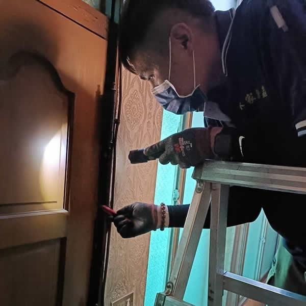 台南住家白蟻蟲害防治