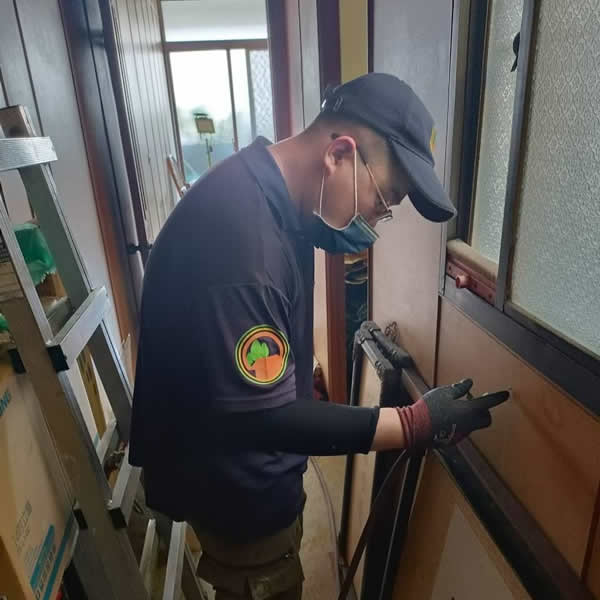 台南住家白蟻蟲害防治