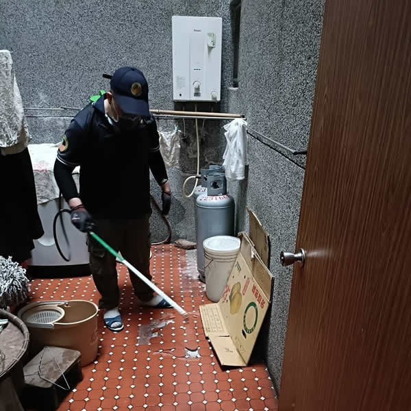台南住家白蟻蟲害防治