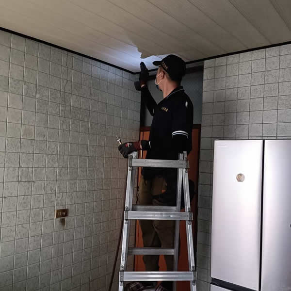 台南住家白蟻蟲害防治