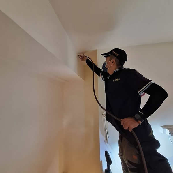 高雄住家白蟻蟲害防治