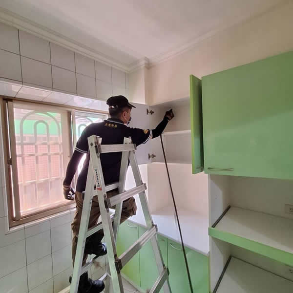 高雄住家白蟻蟲害防治