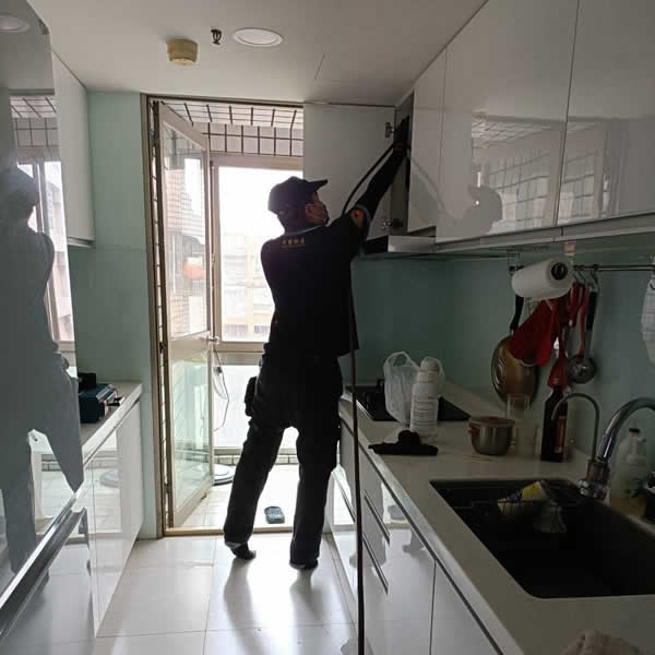 高雄住家白蟻蟲害防治