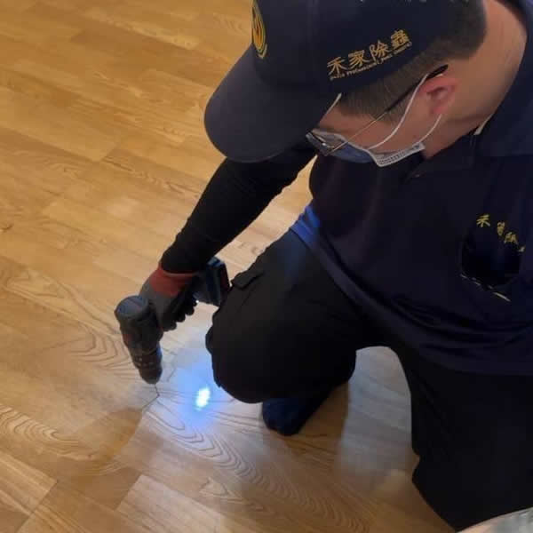 高雄住家白蟻蟲害防治