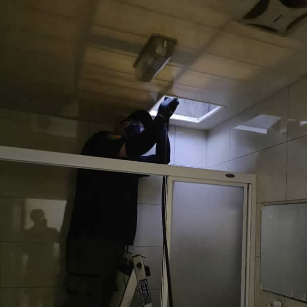 高雄住家白蟻蟲害防治