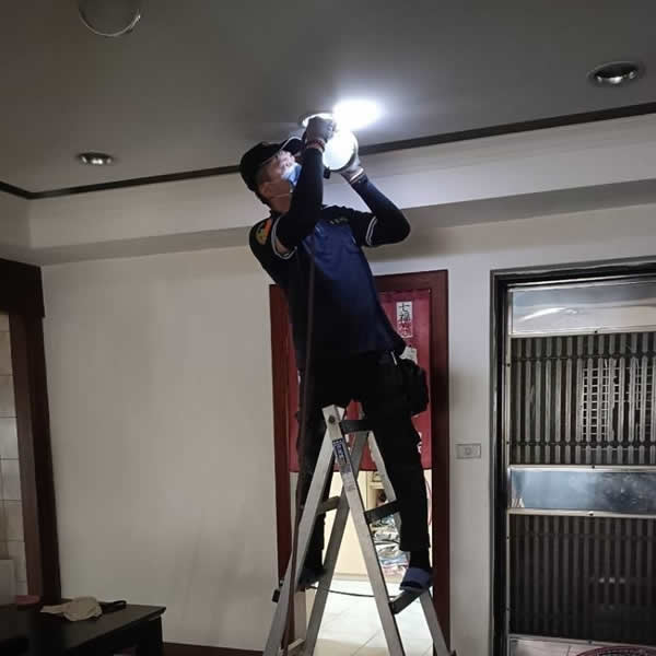 高雄住家白蟻蟲害防治