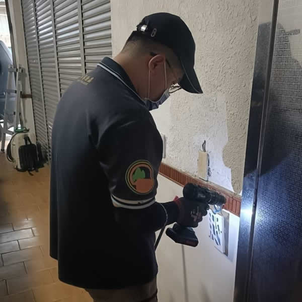 高雄住家白蟻蟲害防治