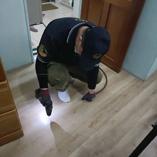 高雄住家白蟻蟲害防治
