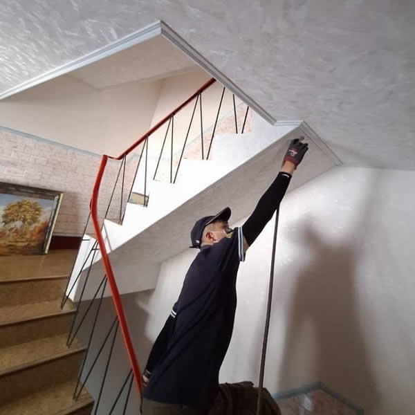 高雄住家白蟻蟲害防治