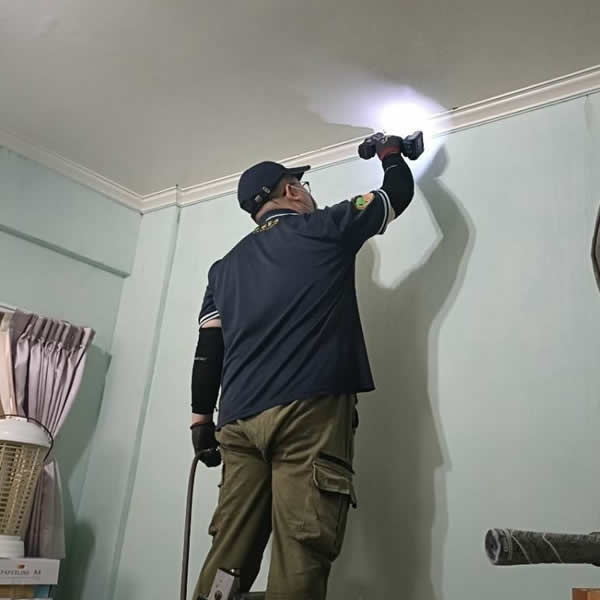 高雄住家白蟻蟲害防治