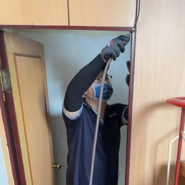 屏東住家白蟻蟲害防治