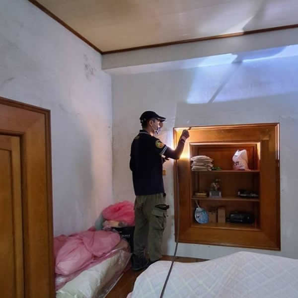 屏東住家白蟻蟲害防治