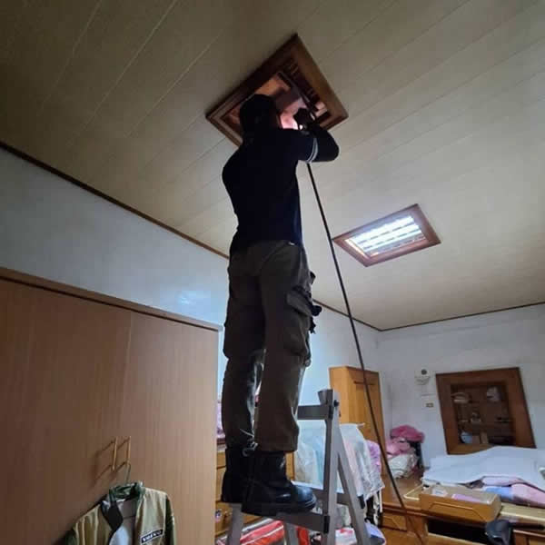 屏東住家白蟻蟲害防治