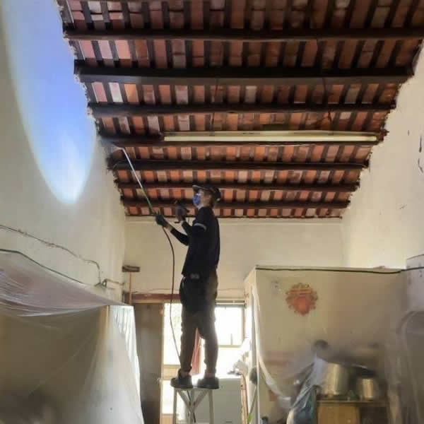 屏東住家白蟻蟲害防治