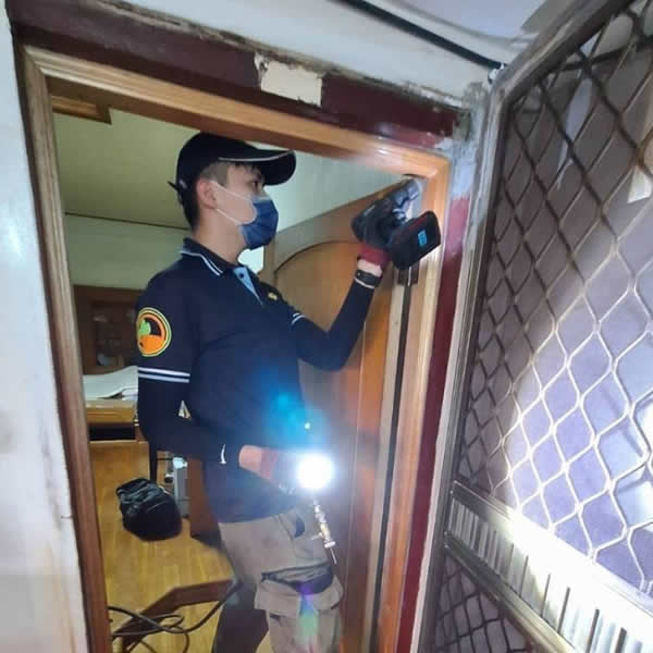 屏東住家白蟻蟲害防治