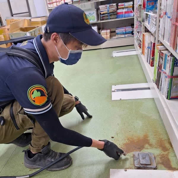 高雄學校白蟻蟲害防治