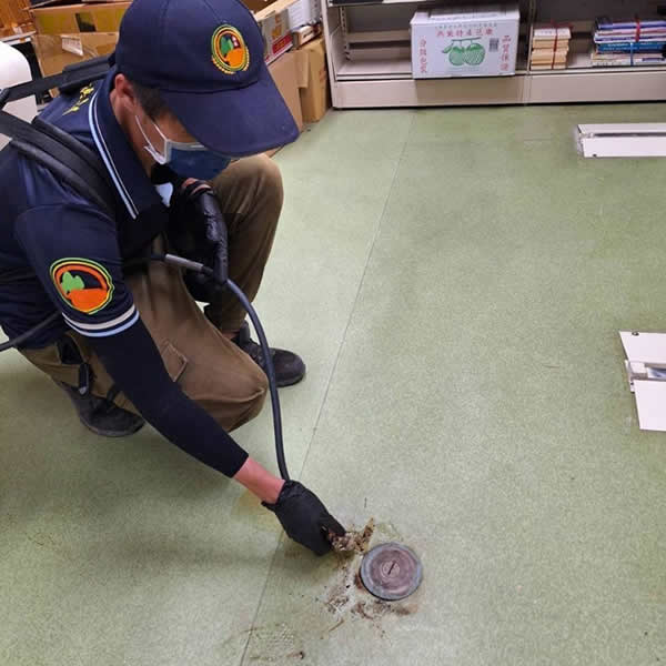 高雄學校白蟻蟲害防治