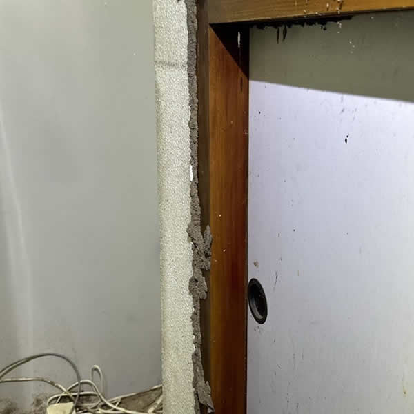 高雄學校白蟻蟲害防治