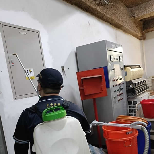 高雄學校白蟻蟲害防治