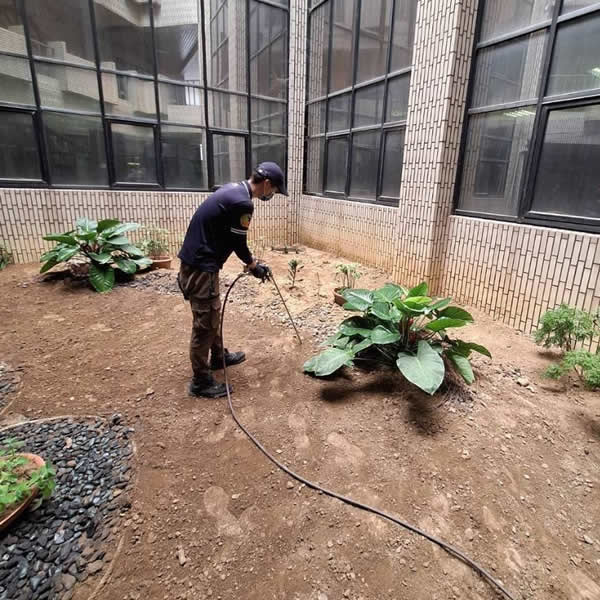 高雄學校白蟻蟲害防治
