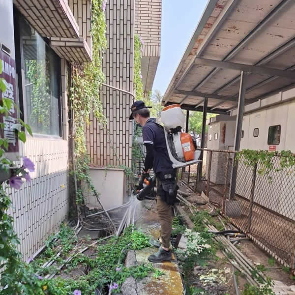 高雄學校白蟻蟲害防治