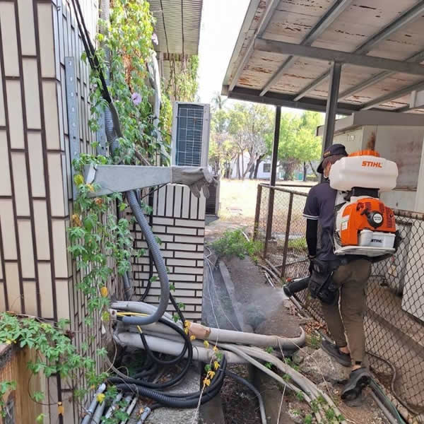 高雄學校白蟻蟲害防治