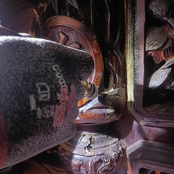 高雄廟宇白蟻蟲害防治