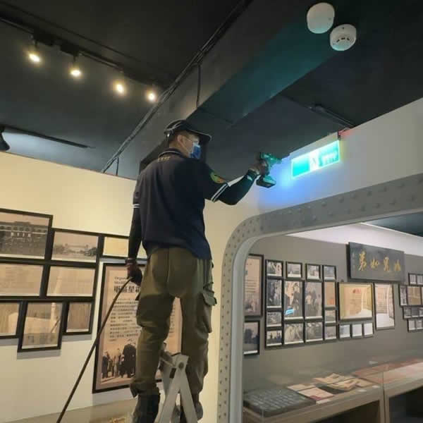 高雄展覽空間白蟻蟲害防治