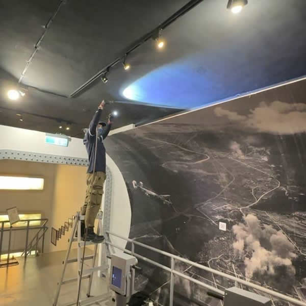 高雄展覽空間白蟻蟲害防治