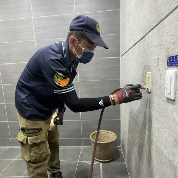 高雄展覽空間白蟻蟲害防治