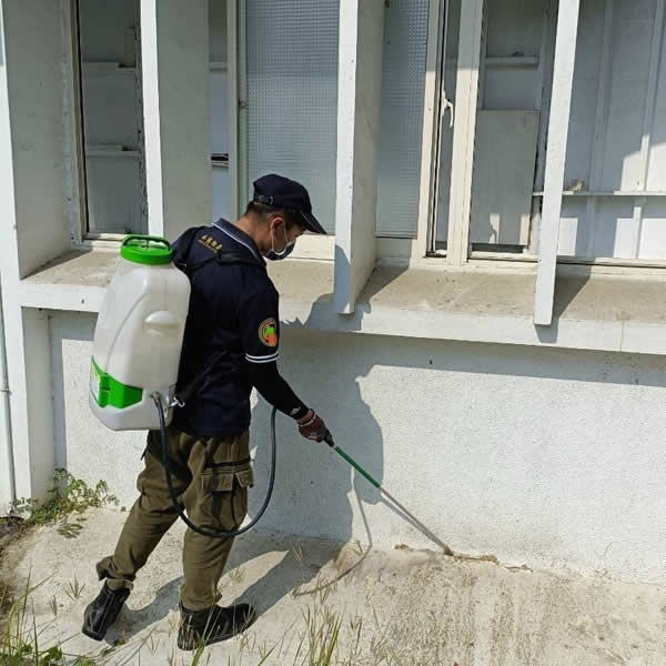 高雄展覽空間白蟻蟲害防治