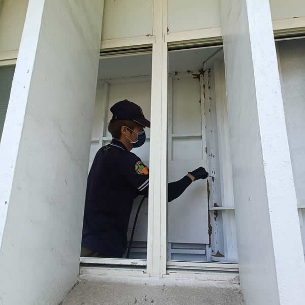 高雄展覽空間白蟻蟲害防治