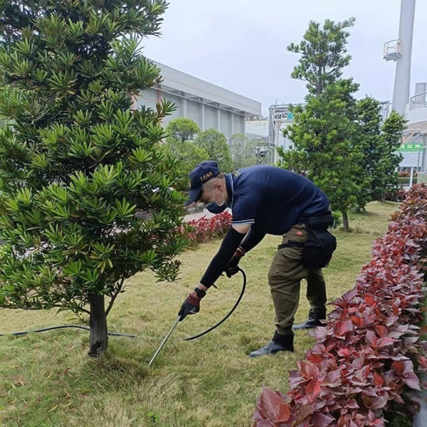 高雄園藝空間白蟻蟲害防治